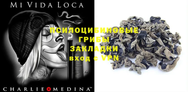 каннабис Аркадак