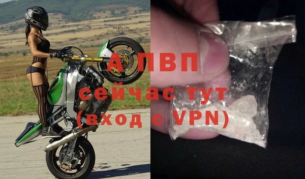 стаф Арсеньев