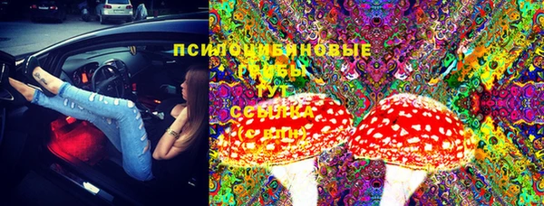 стаф Арсеньев