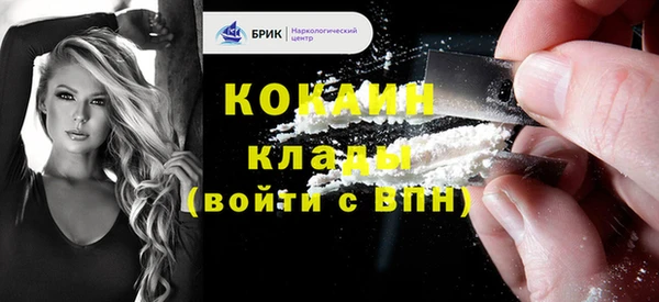стаф Арсеньев