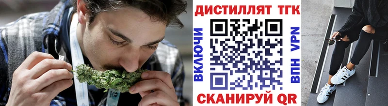 цены   Порхов  ТГК концентрат 
