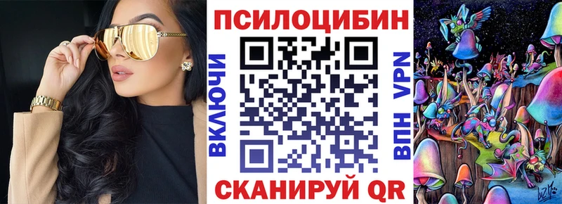 закладка  Порхов  гидра tor  Псилоцибиновые грибы мицелий 